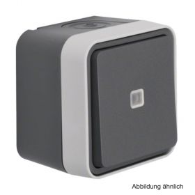 Berker Aufputz-Kontroll-Wechselschalter, grau, 31763505