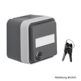 Berker SCHUKO-Steckdose, Klappdeckel beschrift-, abschließbar, grau, 47393505