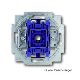 Busch-Jaeger Wipptaster-Einsatz 1-polig, Schließer, 250 V~, 10 A, 2020 US