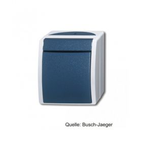 Busch-Jaeger Wipptaster, Schließer, 1polig, grau/blaugrün 2621 W-53