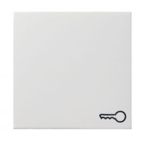 Gira System 55 Wippe,Symbol f Wippschalter/Taster Tür,reinweiß seidenmatt,028727