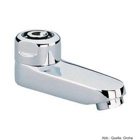 GROHE Gussauslauf 75mm schwenk- u. arretierbar, verchromt 13460000