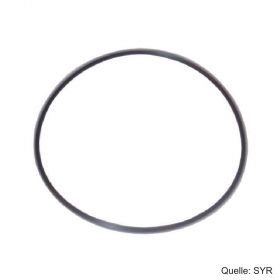 SYR Ersatzteil O-Ring zur Filtertasse für Drufi max, 2315.00.941