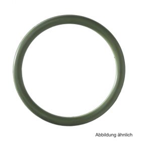 SEPPELFRICKE O-Ring aus FKM (Viton) f. Edelstahl&C-Stahl-Fittinge,76,1mm,grün