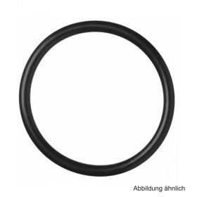 SEPPELFRICKE O-Ring aus EPDM f. Fittinge aus Edelstahl u. C-Stahl,88,9mm,schwarz