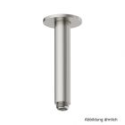 Damixa Brausearm zur Deckenmontage, Farbe "Stahl", 7661846