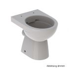 Stand-Tiefspül-WC, spülrandlos, Abg. horizontal, teilgeschl. Form, manhattan