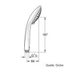 GROHE Euphoria 110 Champagne Handbrause 18,5l SprayDimmer chrom 27222000